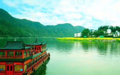 创新高标准高端